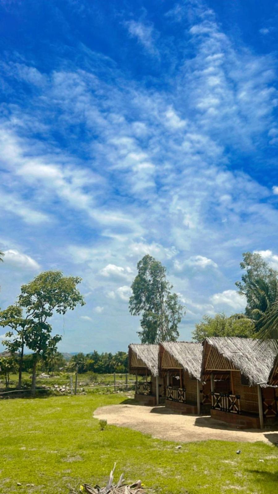 Banana Tree Home Stay Hampi Dış mekan fotoğraf